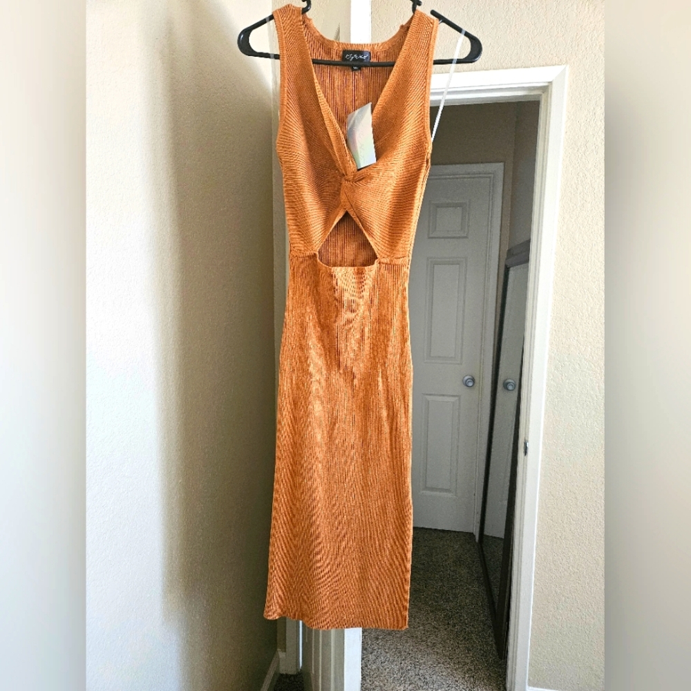 Rust Dress